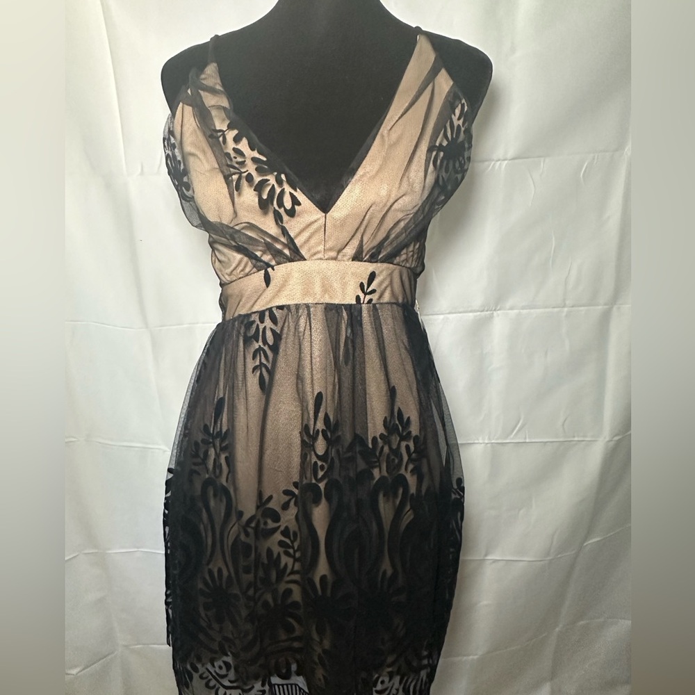 Embroidered Dress